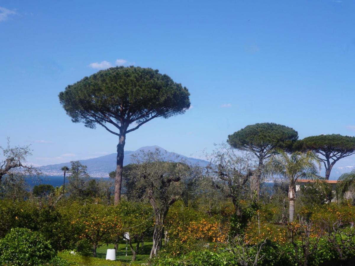 Angelina Suite B&B - Sorrento Centro Exterior photo